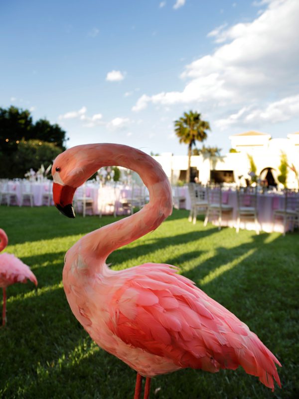 Pink Flamingo – Baptism at Ktima Orizontes in Greece