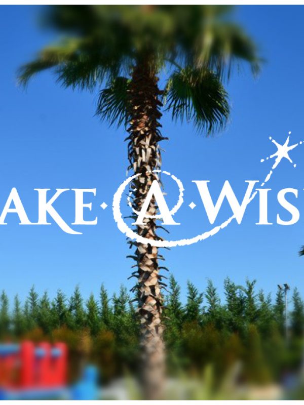 Make a wish – Events at Ktima Orizontes in Greece